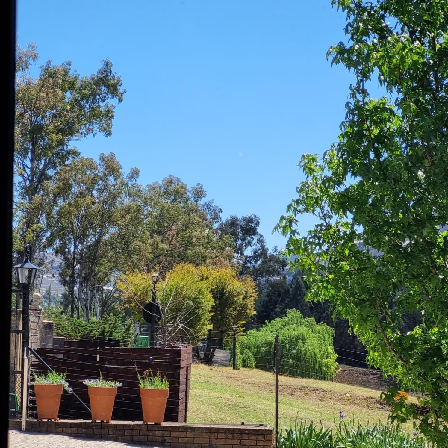 The Fat Mulberry Guest Farm Hotel Fouriesburg Exterior photo